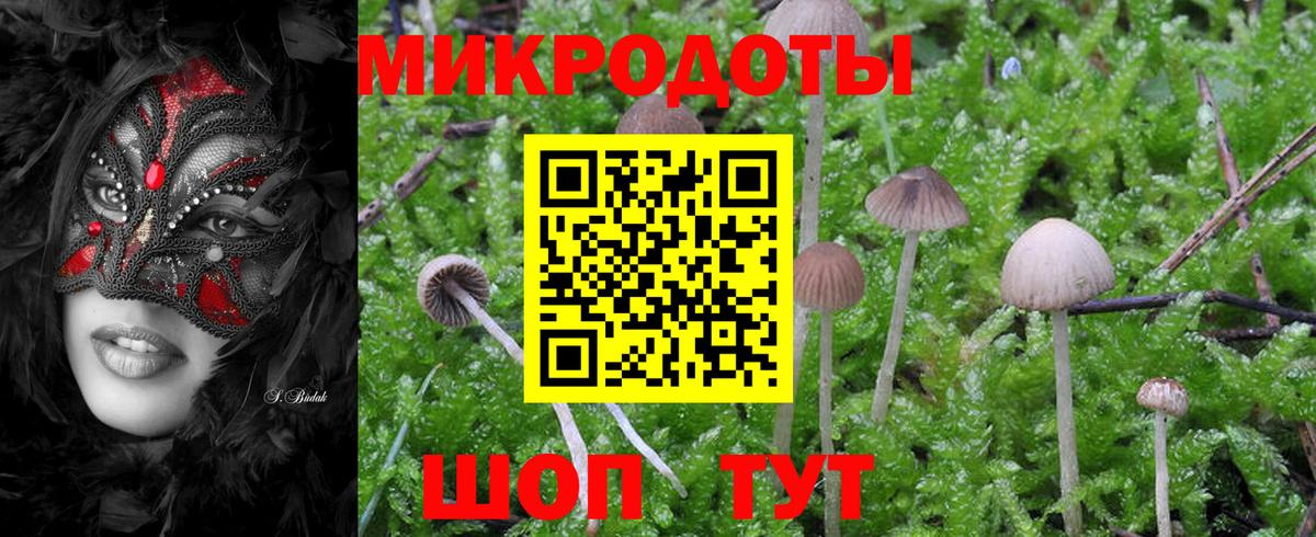 Бугуруслан  Псилоцибиновые грибы MAGIC MUSHROOMS  Вход с VPN 