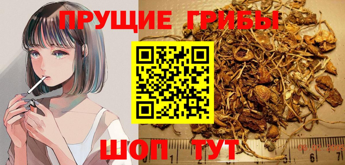 Галлюциногенные грибы Cubensis Бугуруслан